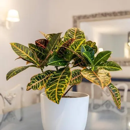 Beautiful And Amazing Flat In * Gzira